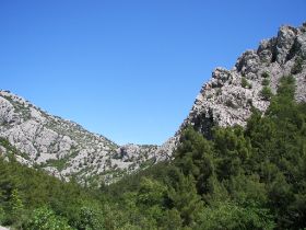 100_1839.JPG