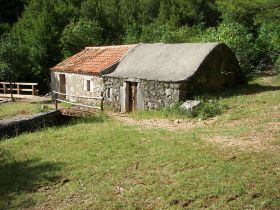 100_1961.JPG