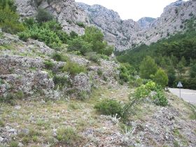 100_8388.JPG