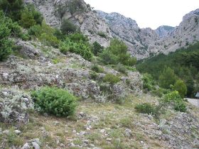 100_8390.JPG