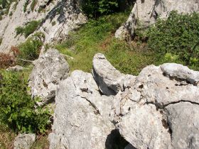 100_8435.JPG