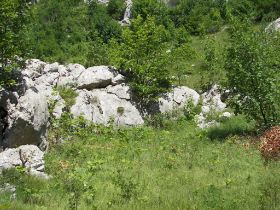 100_8470.JPG