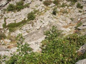100_8281.JPG
