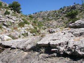 100_8282.JPG