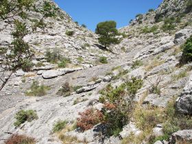 100_8290.JPG