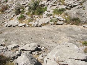100_8297.JPG