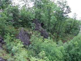 100_1605.JPG