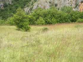 100_2241.JPG