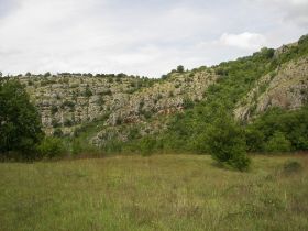 100_2242.JPG