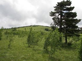 100_1660.JPG