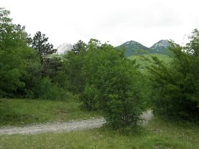 100_1671.JPG