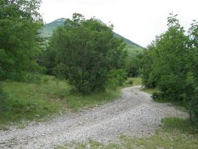100_1672.JPG