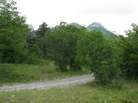 100_1673.JPG