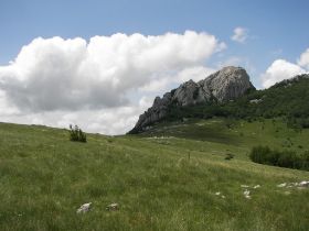 100_1676.JPG