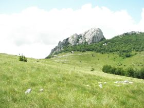 100_1679.JPG