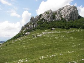 100_1687.JPG