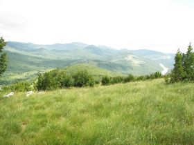 100_1718.JPG