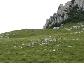 100_1725.JPG